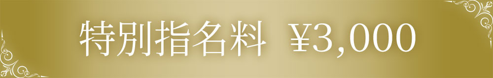 特別指名料¥3,000