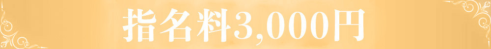 特別指名料¥3,000
